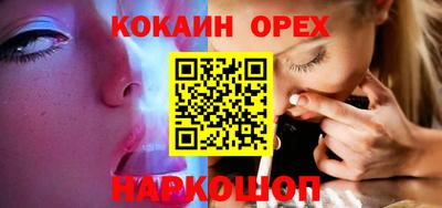 крисы Кингисепп
