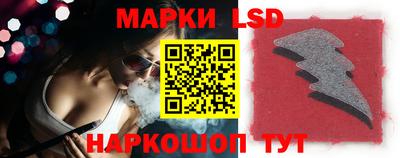 крисы Кингисепп