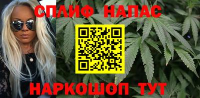 крисы Кингисепп